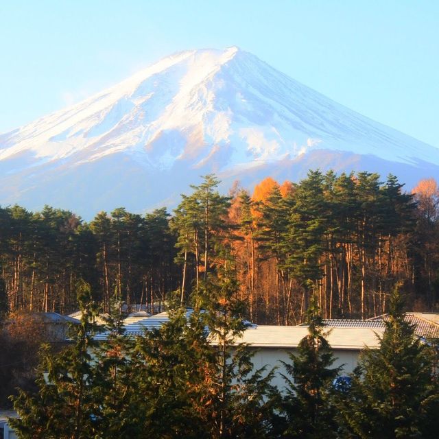 富士山フルマラソン走ってきた🏃‍♀️