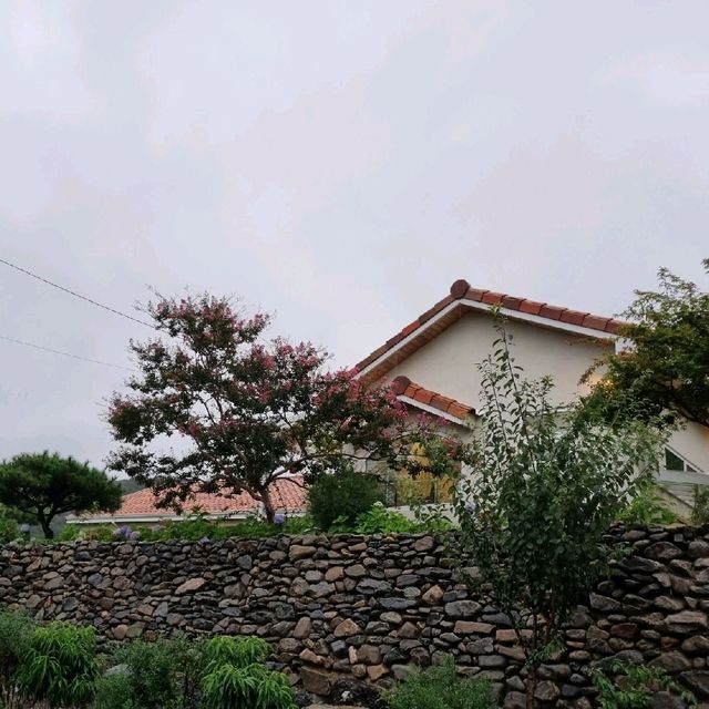 부여 금반향 카페