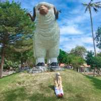 Pattaya Sheep Farm ฟาร์มแกะพัทยา