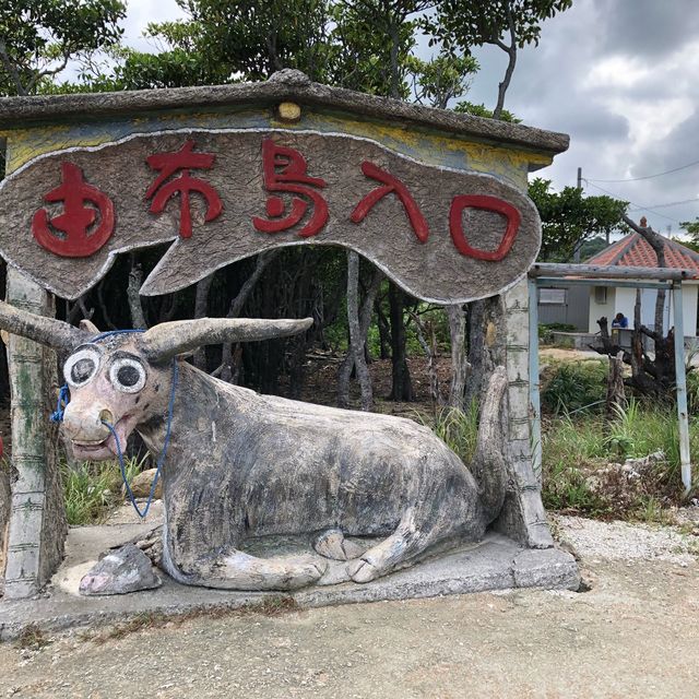 沖縄県石垣島 由布島水牛