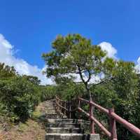 港島南後花園‼️好天必去飽覽港島美景😌