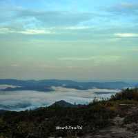 พิชิตยอดเขา ภูตาจอ ทะเลหมอกเต็มตา