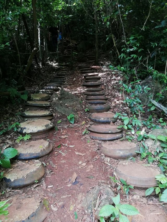 อุทยานธรรมนาในหลวง สุราษฎร์ธานี