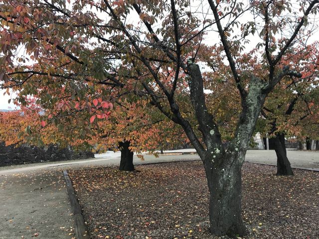 【長野】古いお城に紅葉が映える！松代城趾をご紹介