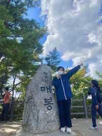 등린이 입문으로 추천하는 청계산⛰