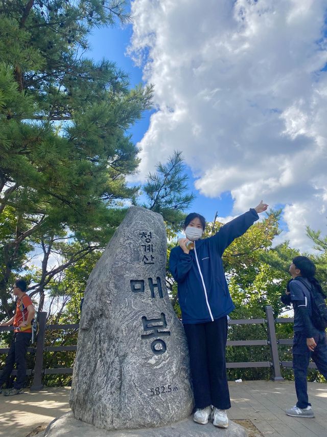 등린이 입문으로 추천하는 청계산⛰