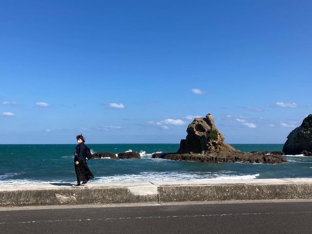 【宮崎】日南梅ヶ浜のライオン岩