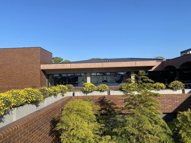 大濠公園に併設『福岡市美術館』