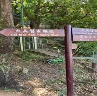 船灣淡水湖 