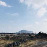 겨울 제주도 여행(사실상 먹으러 간..) 