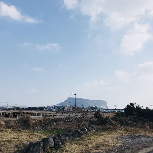 겨울 제주도 여행(사실상 먹으러 간..) 