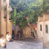 Picturesque Cefalu Town