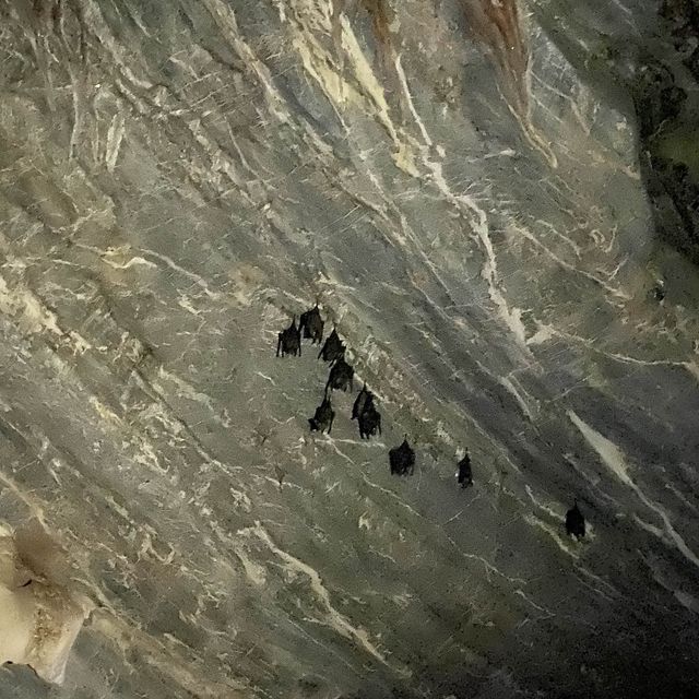 GUA KELAWAR LANGKAWI