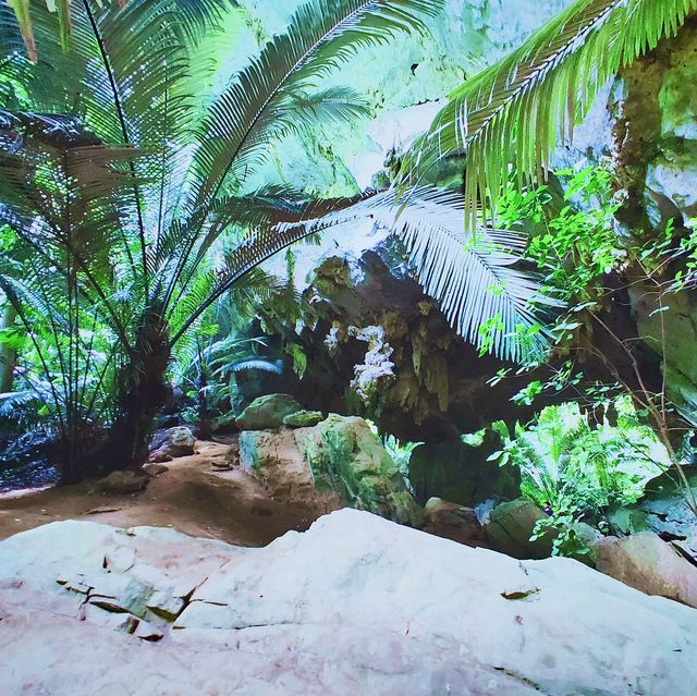 Unseen ❗️หุบป่าตาด ป่าดึกดำบรรพ์ 🦕เมืองอุทัย 🦇