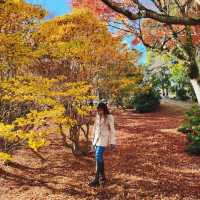 Arashiyama park