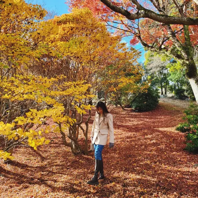 Arashiyama park