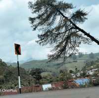 Trip to paradise land in South India -Kerala