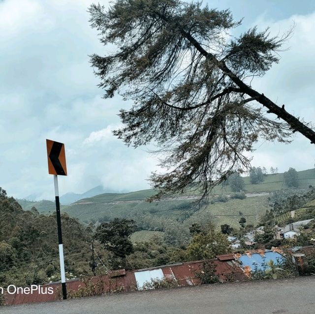 Trip to paradise land in South India -Kerala