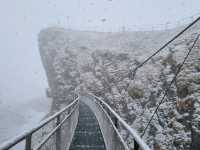 snowing in spring