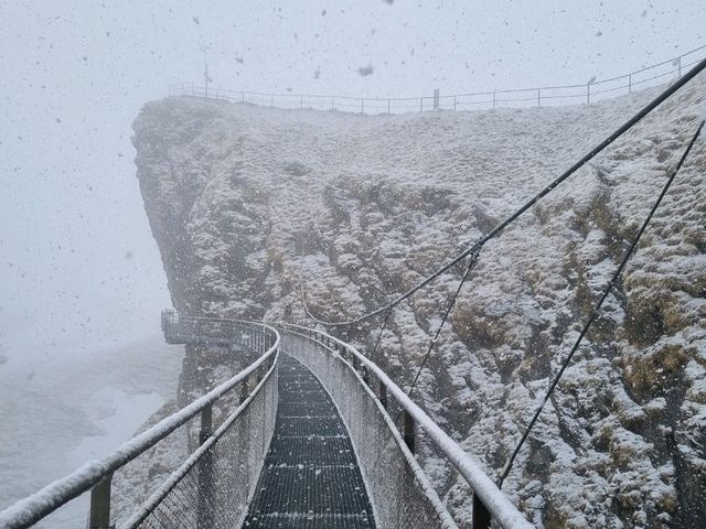 snowing in spring