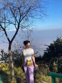 Himalayan Range from afar