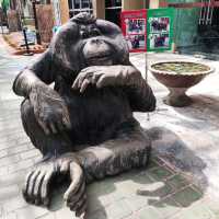 Wonderful Experience in Taiping Zoo