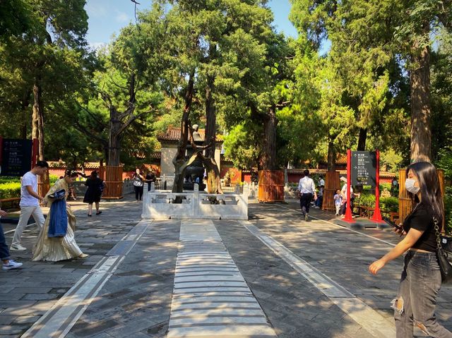 The Forbidden City, Beijing 