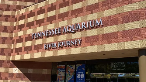 Visit Tennessee Aquarium River Journey! — traveler post in Hamilton County