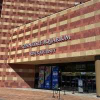 Visit Tennessee Aquarium River Journey!