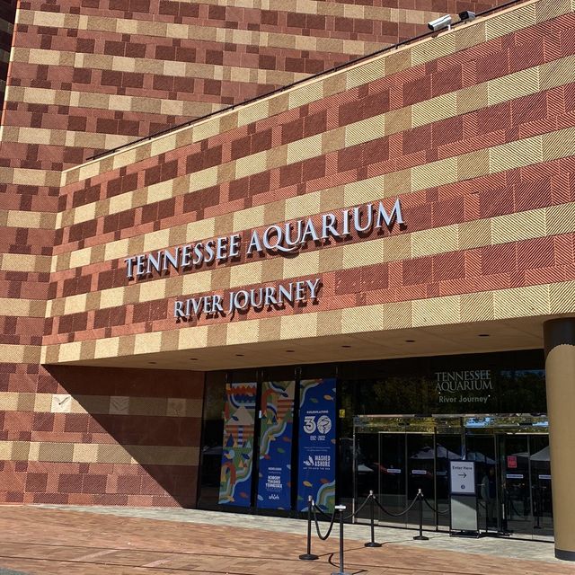 Visit Tennessee Aquarium River Journey!