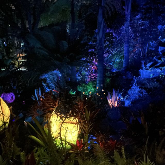 Nighttime at Animal Kingdom 