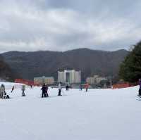 강원도 홍천 스키장🏂비발디파크 스키장
