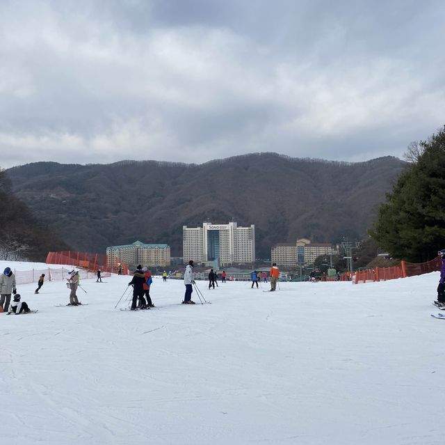 강원도 홍천 스키장🏂비발디파크 스키장