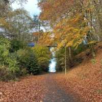 Scotland East coast Road Trip