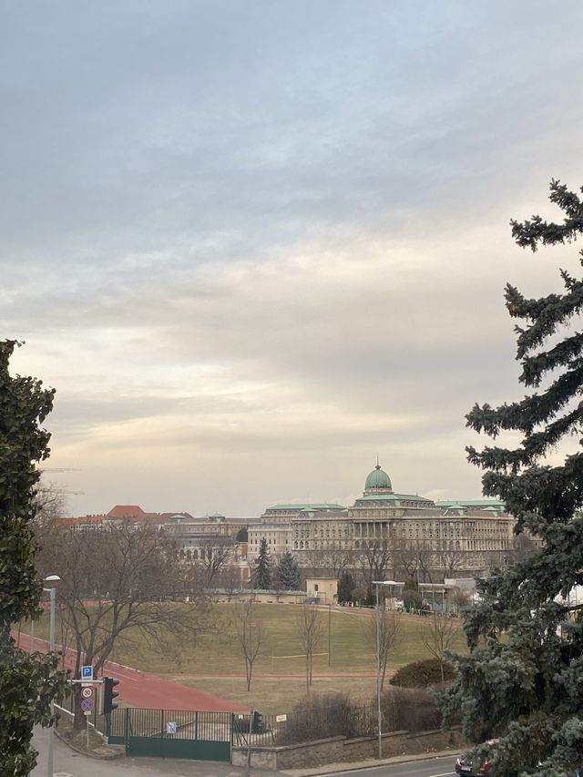 Get the ✨best✨ view to the Buda Castle