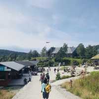 Norway 「The Pulpit Rock」