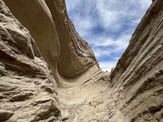 Alive in Death Valley