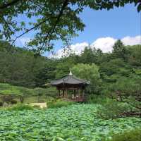 경주 황리단길
