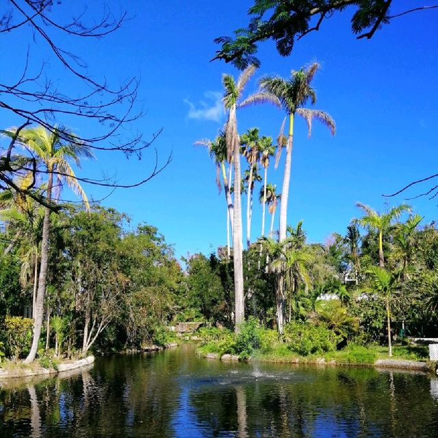 Garden of the Groves, Bahamas