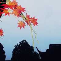 old street in yangzhou 
