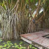 Awesome Natural Beauty at the Botanical Park