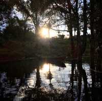 living in the world’s largest rainforest 