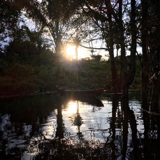 living in the world’s largest rainforest 