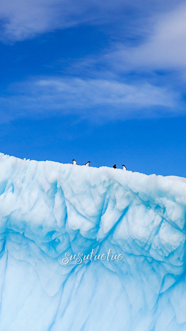 Antarctica | Cross the Drake Passage to the world of penguins