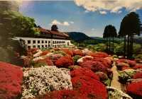 #Odakyu Mountain Hotel (Hotel in the Mountains)