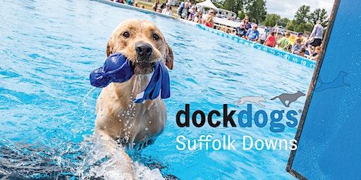 DockDogs - The World's Premier Canine Aquatics Competition | The Track at Suffolk Downs