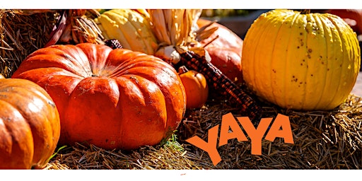 YAYA Family Arts: Fall Festival 2023 | YAYA Arts Center