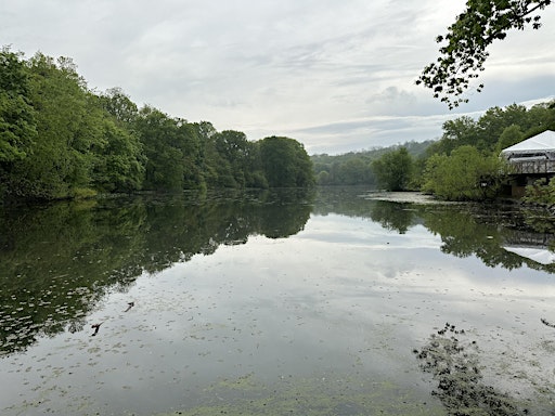 City Nature Challenge 2025 at the Mill Pond in Van Cortlandt Park | Van Cortlandt Golf Lake House