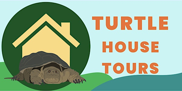 Meet the Teaching Turtles | 235 Highland St