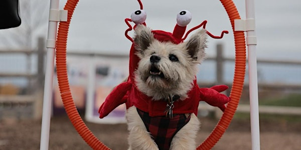 Howl-O-Ween Unleashed | Hall-Ouuuh-Ween déchaînée | Dogsview Park (Dog Park)